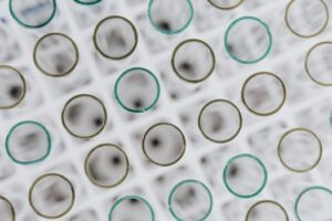 Aerial view of empty test tubes in a lab rack, scientific research.